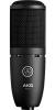 AKG P120